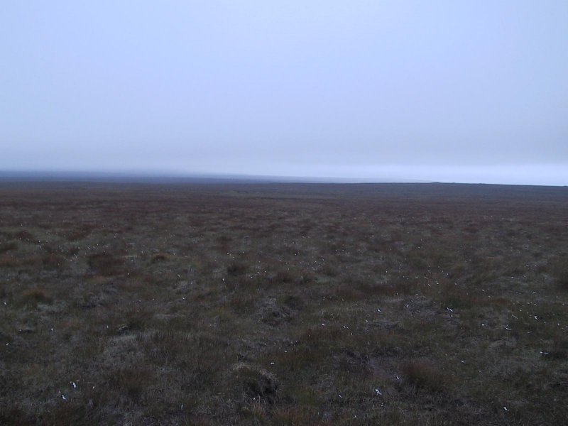 Typical Lewis Moorland.jpg